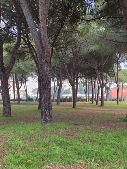 Le jardin Marguerite Yourcenar